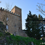 castello di Nazzano - veduta del lato est. In primo piano i resti della cinta esterna